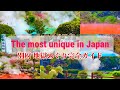 Les sources chaudes les plus uniques au japon  visitons jigoku meguri tour enfernal  beppu oita