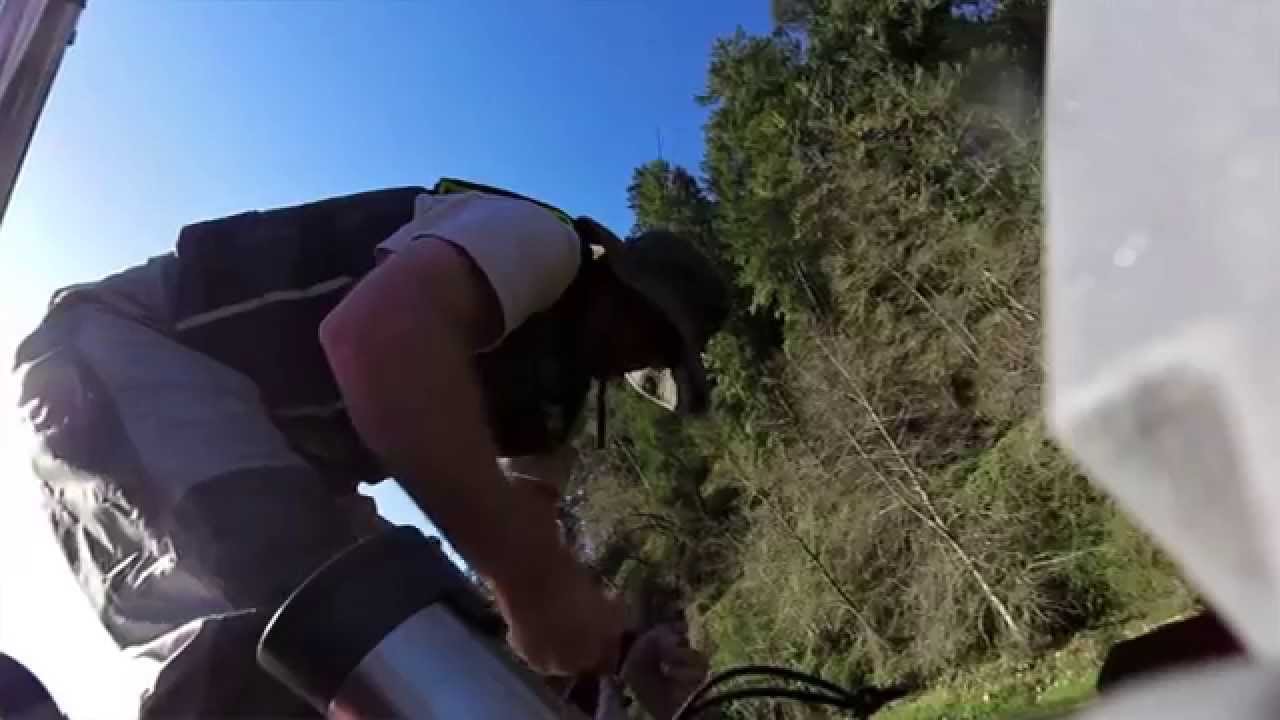 A Nice Fish On The North Santiam YouTube