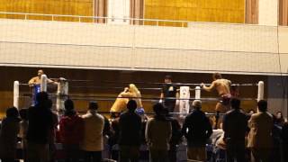 DTV Skankin in Japan