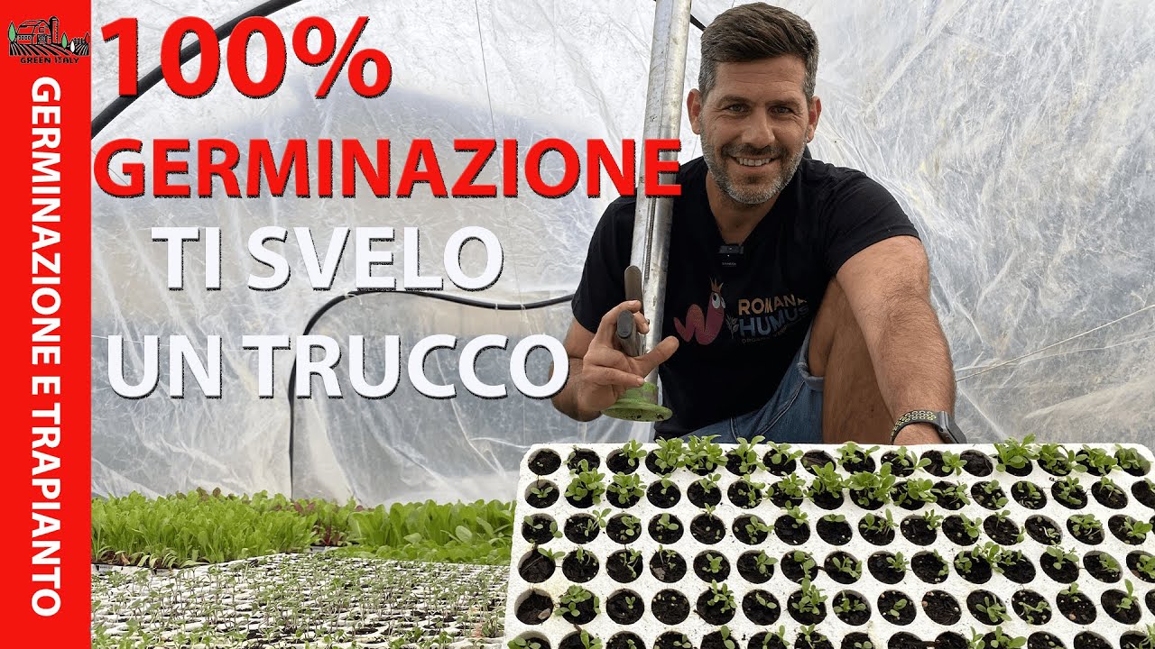 Germinazione e Trapianto: Seminare Piantine... Adesso non puoi PIU' SBAGLIARE