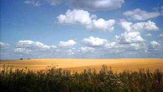 Lied 77.wmv