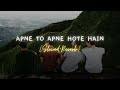 APNE TO APNE HOTE HAIN💕 || Slowed + Reverb || Lofi Song || Heart touching Song Mp3 Song