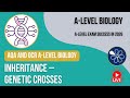 AQA and OCR A-Level Y2 Biology Live Stream 2026 | Inheritance – Genetic Crosses