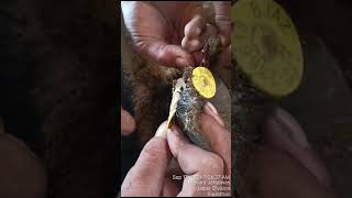 Claim Subject 371315 Mrs Pramod Devi 236385 Hdfc Bank