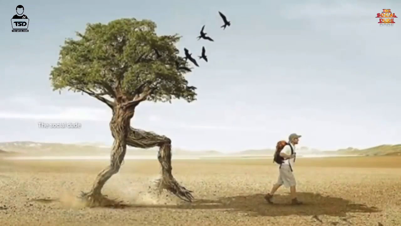 Save 🌲 trees save life ||Whatsapp status video||