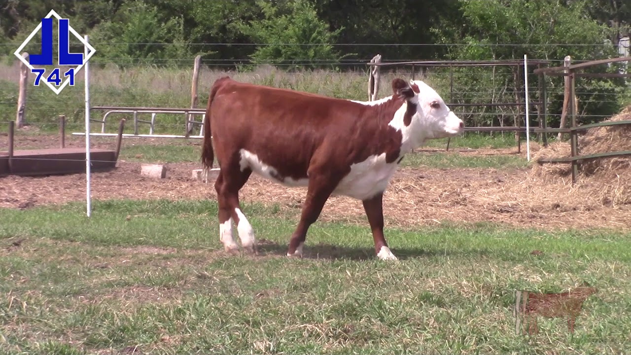 Lot 7 - DBLL JR 109 MAYBLE 741 ET