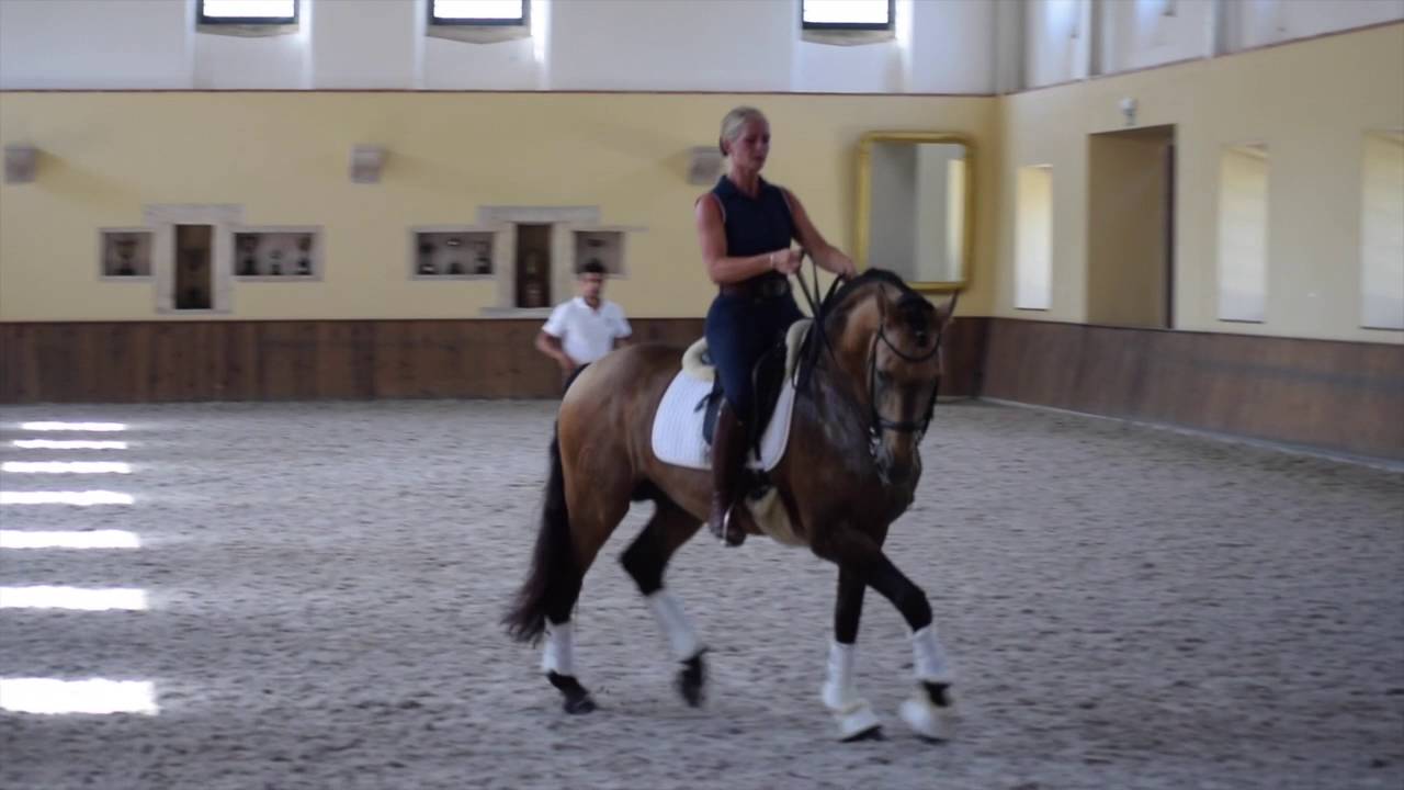 Vitorino in daily training