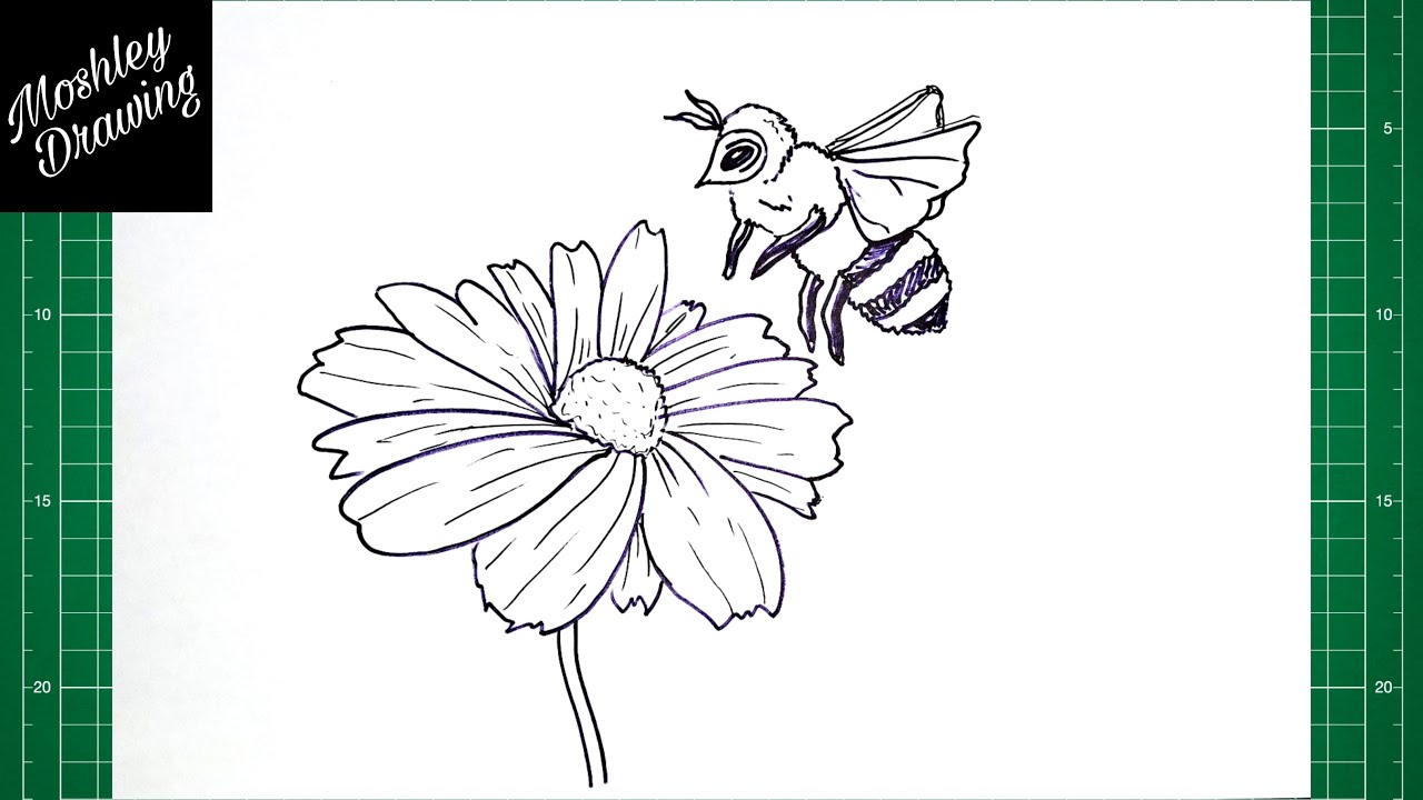 Bee flies to flower sketch Royalty Free Vector Image