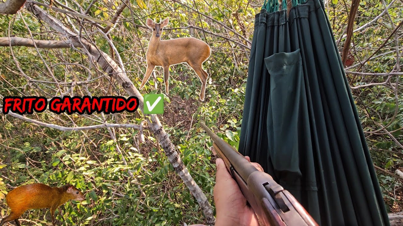 Fui esperar os veados 🦌 no pé de fava danta a noite 🌙 toda teve até cutia caçada com muita emoção