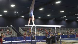 Johnny Jacobson - Parallel Bars - 2017 Winter Cup Prelims