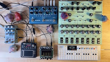 Minimal electronic with LYRA-8, norns shield, OP-1 field : Circle Levee 2025-10-22