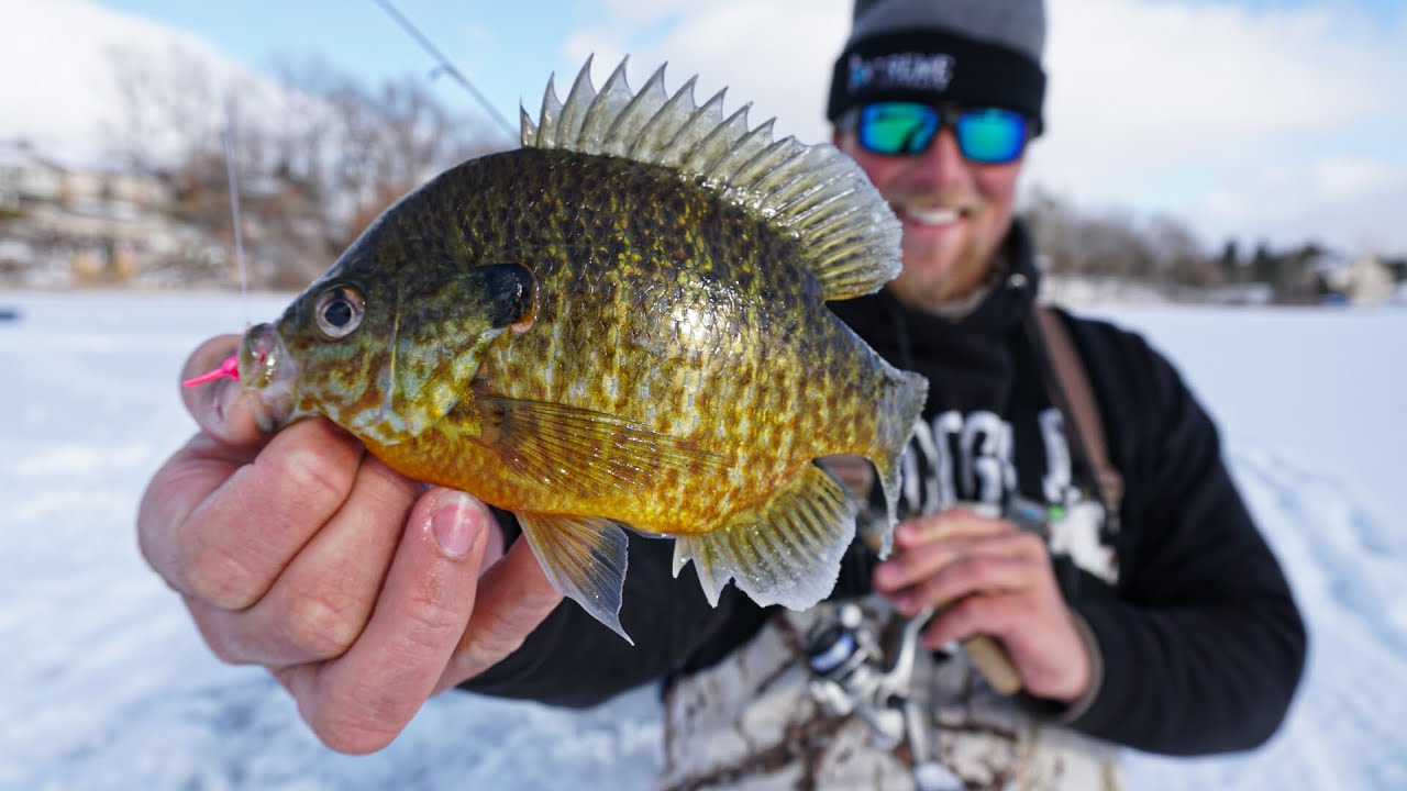 Ice Fishing PanFish Michigan Late Ice Bluegills & Crappies YouTube