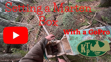 Marten Trapping; Setting A Maine Legal Marten Box Using GoPro
