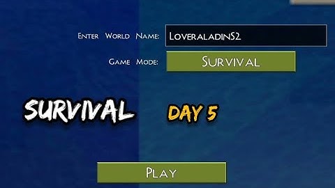 Survival Day 5 mini block craft