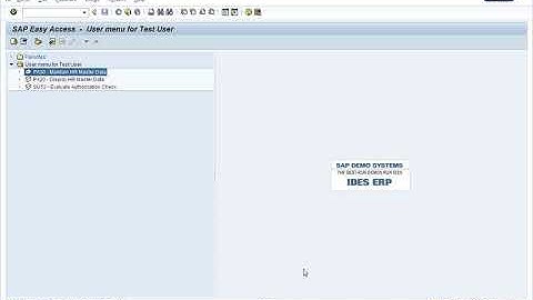 SAP HR Security - Part 4 - Demo