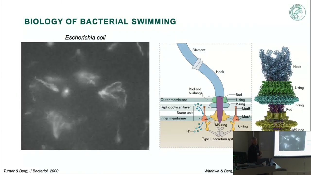 Bacterial Motility: Physics, Physiology, and Evolutionary Optimization