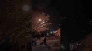 Download Lagu Mirrors-Justin Timberlake MP3