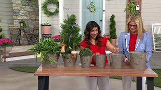 Plow & Hearth Set of 3 Metal Dog Bucket Planters on QVC