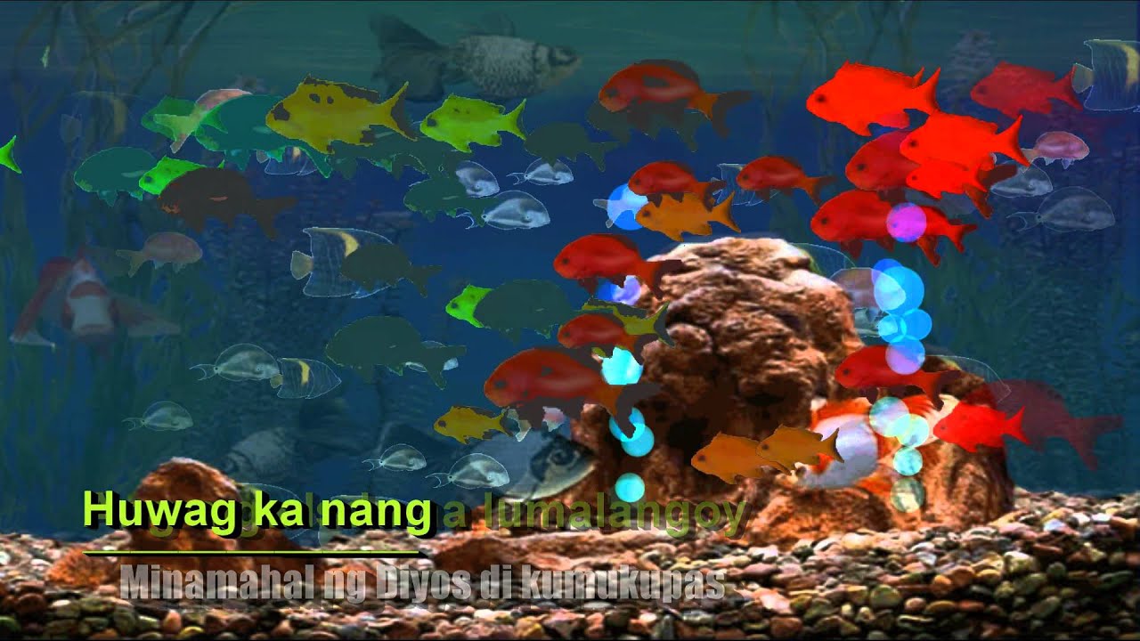 Ang Mga Ibon Na Lumilipad / Pagkagising Sa Umaga Lyrics - YouTube