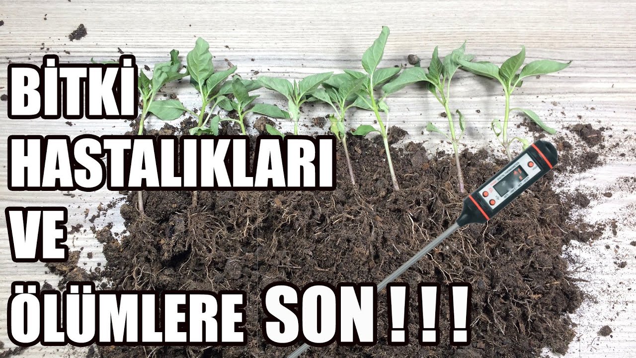 Toprak Verimliliği Nasıl Artar (Büyümeyi Çiçeklenmeyi ve Meyve Vermeyi Arttırmak İçin)