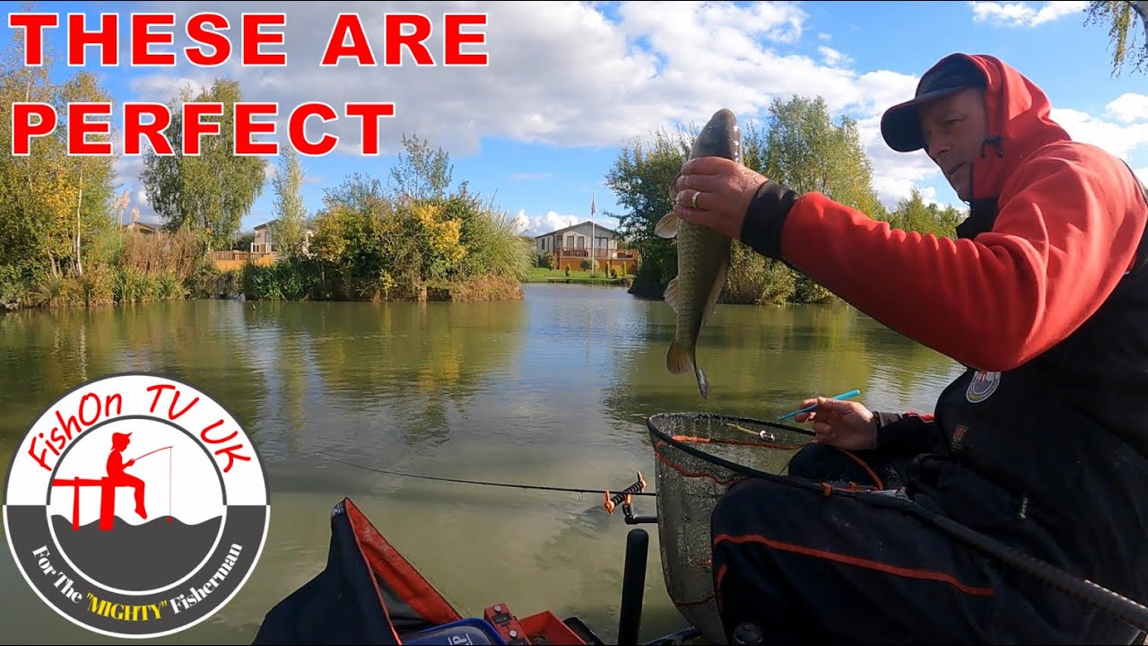 Baitech Rodmasters Day Three | Live Match Fishing | Lindholme Lakes ...