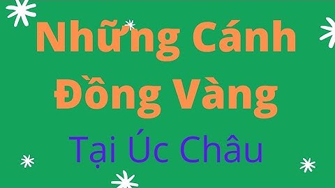 AUSTRALIA CANOLA FIELDS. Những Cánh Đồng Vàng. 03/10/20.