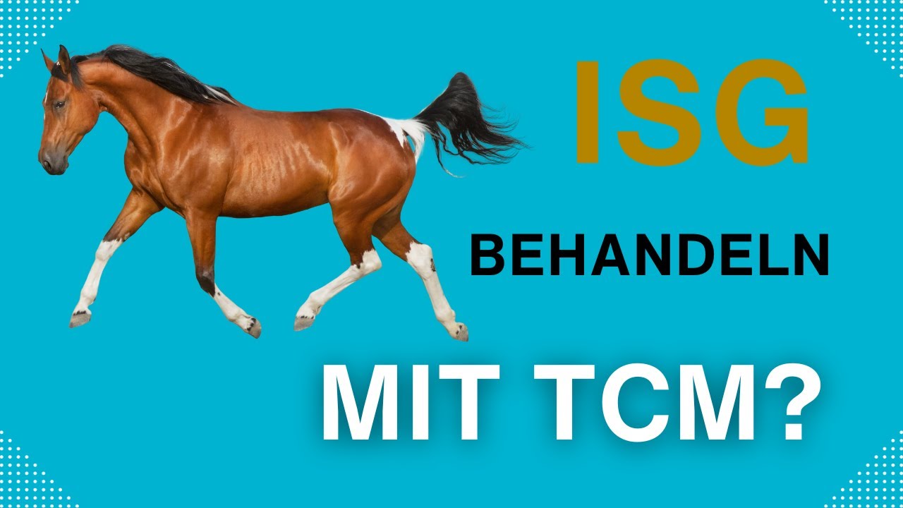 ISG- Behandlung mit TCM?
