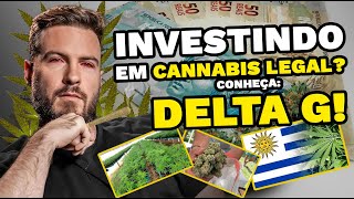MAIS DE 15 MIL PLANTAS - É POSSIVEL INVESTIR DE FORMA LEGAL? CONHEÇA A DELTA G E DESCUBRA COMO.