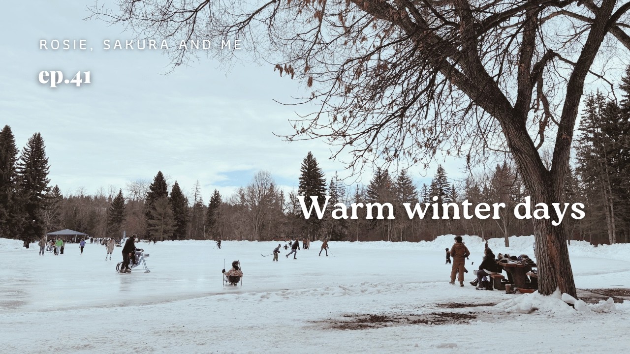 なぜか暖かい２月のカナダ・エドモントン｜犬２匹と過ごす穏やかな日常