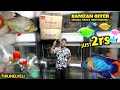 Enthe fishes lam evalo kammi price le thaarom  sikiram vaange fishesaquarium ktaquarium