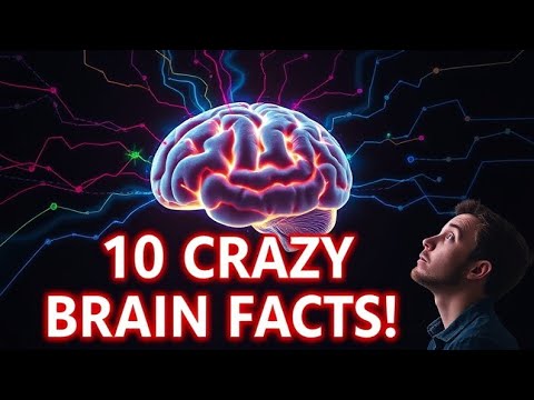 10 Crazy Facts About Your Brain That Will Blow Your Mind - YouTube