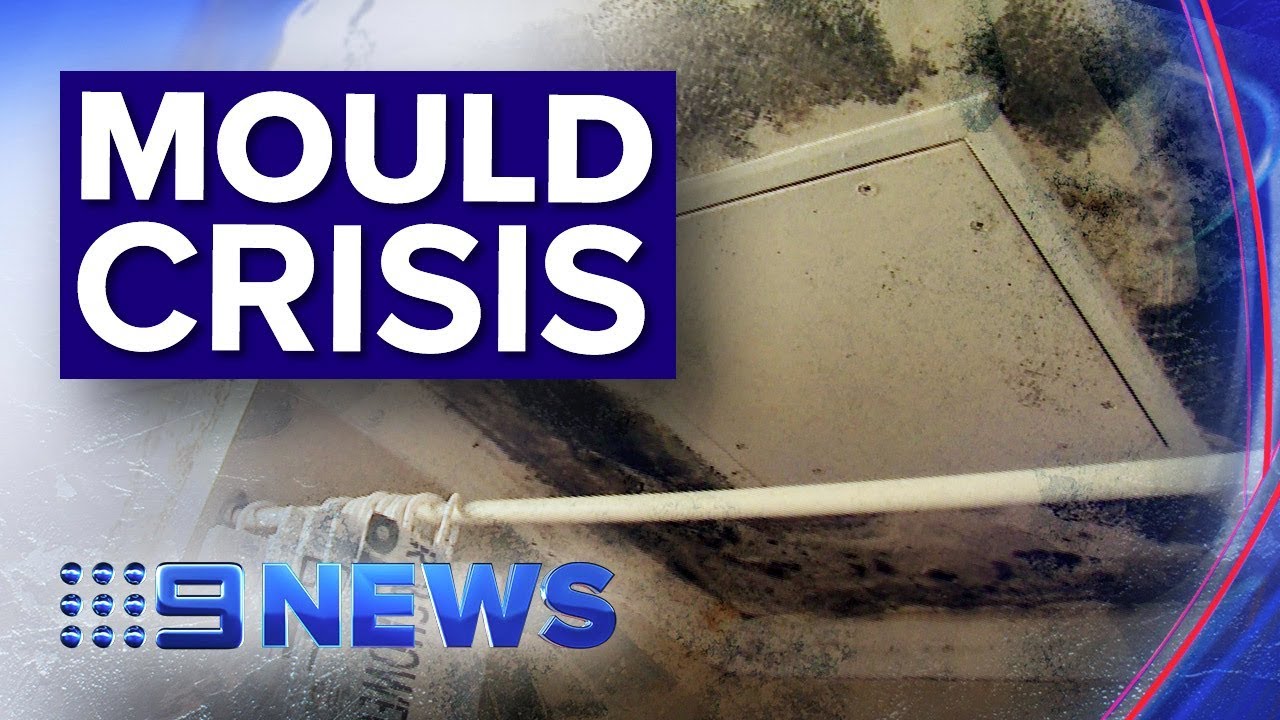 Mould infestations are making Australian public housing residents sick