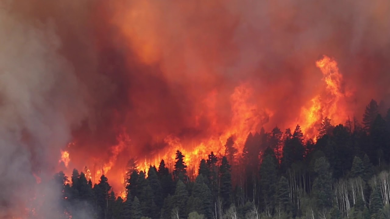 Wildfire burns 1,100 acres; about 825 homes evacuated