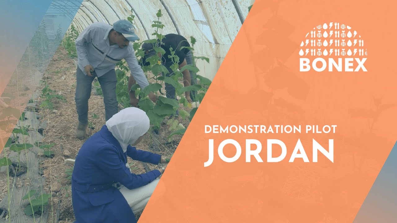 BONEX Demonstration Pilot in Jordan - YouTube