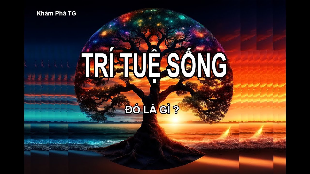 TRÍ TUỆ SỐNG: ĐIỀU NGƯỜI GIÀ CẦN BIẾT ( 1 )