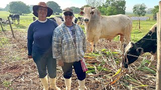 Elas compraram seu próprio sítio e hoje trabalham duro para mantêlo bem produtivo…