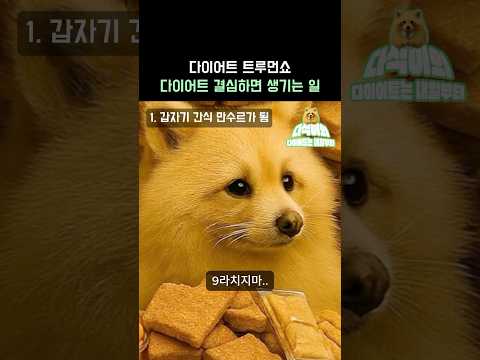 다이어트..왜 얘는 나를 늘…!