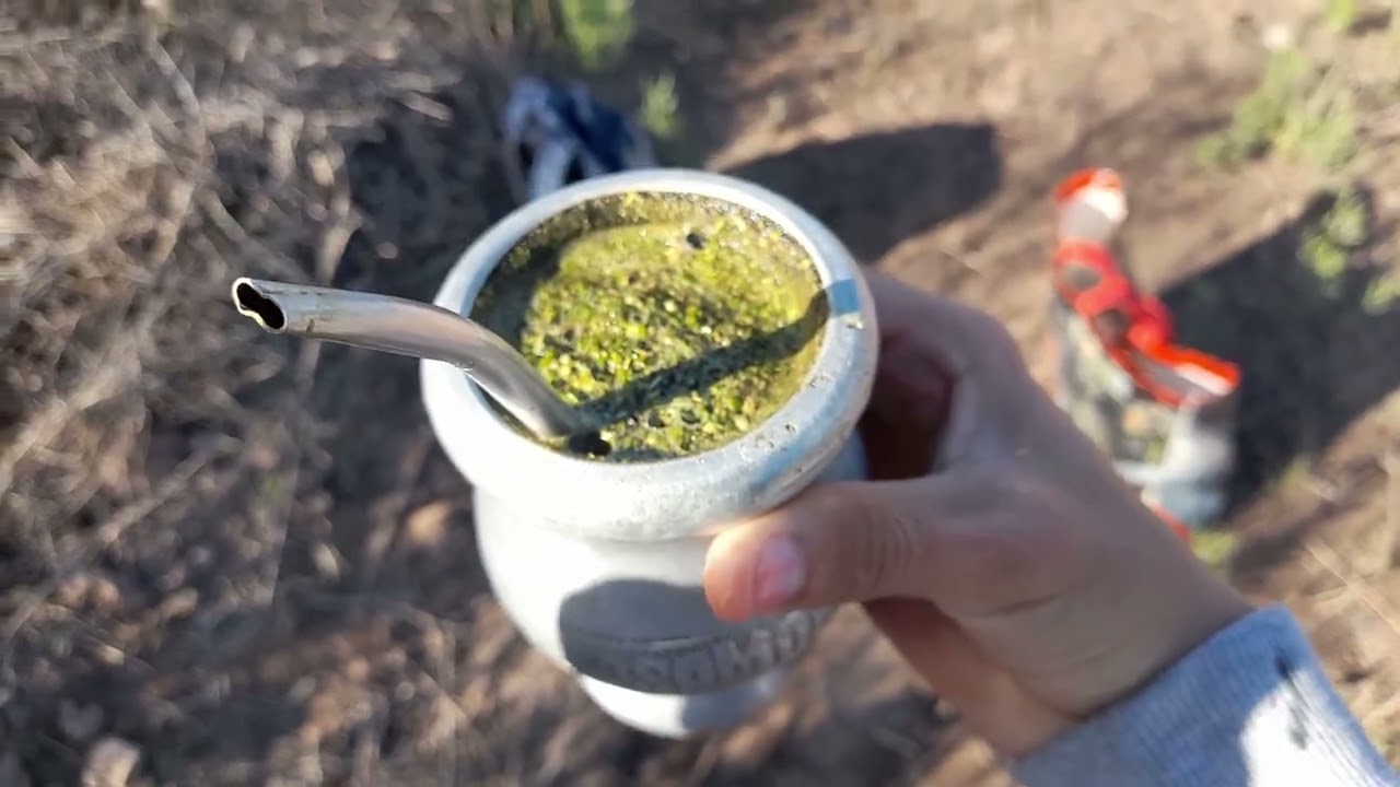 última salida😬🐦cazando jilgueros,cabesitas y corbatas🐦👍🏻