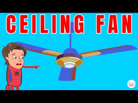 Why Do Ceiling