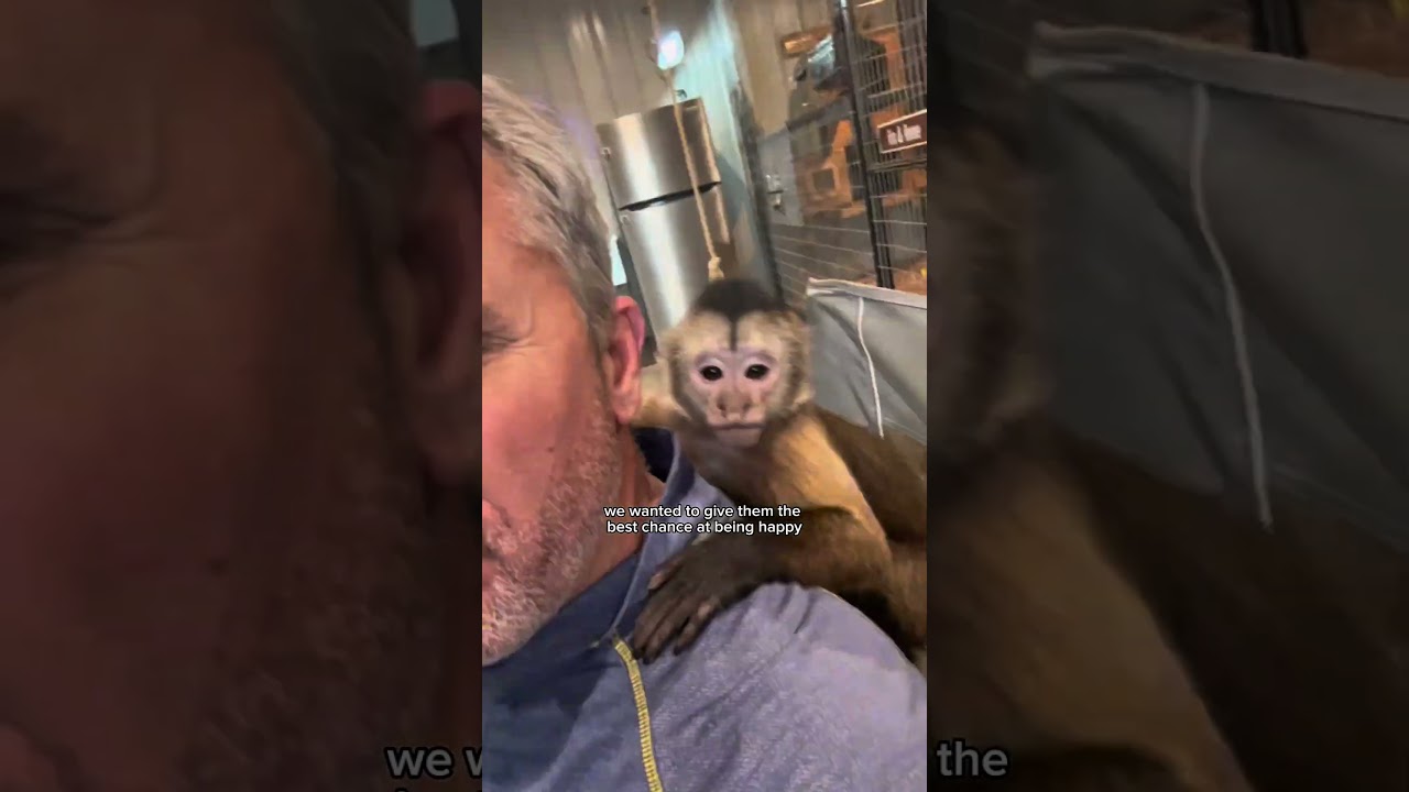 We are devastated 😭this is a reshare but we still are not over it. #familycompound #hookranch