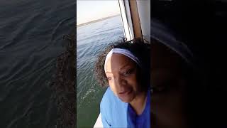 Will I Ever Go Back To . On The Ms Medea Cruise Ship December 2021 River