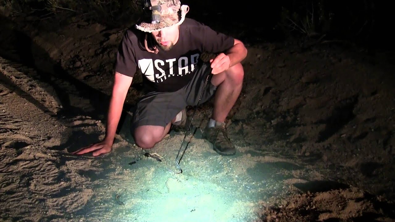 amphibians nedir Never Ending Herping Season 2 Episode 2 A Socal Adventure
