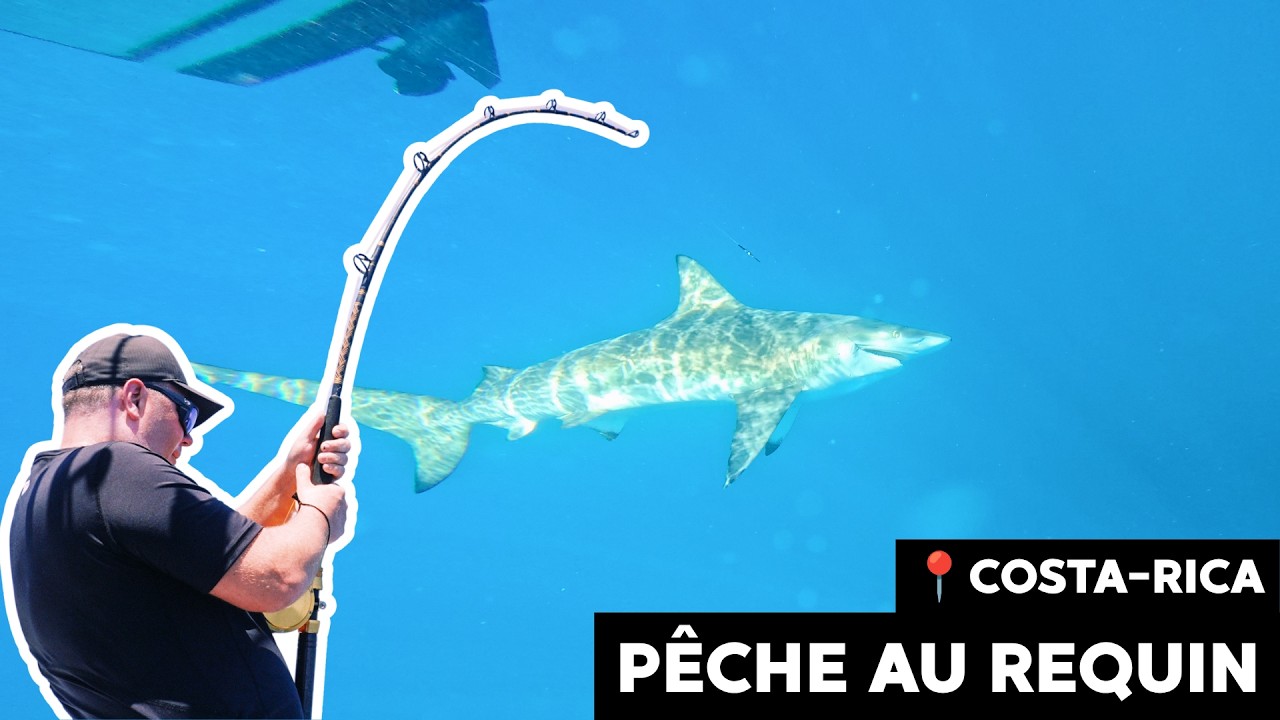 Requin et Mahi Mahi en haute mer - Costa Rica part.1 | Roadfish - S.10 - Ép.2