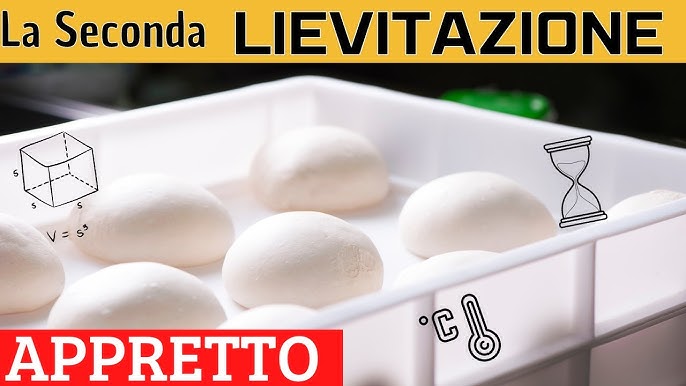 genus dei Dei, Cassetta per Lievitazione Pizza E Pane, Contenitore Cibo  per