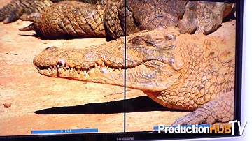 IMT/Vislink Showcases H.265 Video Compression at Half the Bandwidth of H.264 at IBC 2017