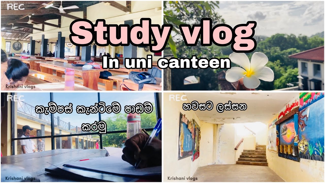 කැම්පස් කැන්ටිමේ පාඩම් කරපු දවසක්🍄😌🍃|හවසට රුහුනෙ ලස්සන🫶💁🍂🌍|#universityofruhuna |#study #trending