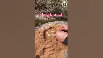 القارئ الصغير الذي حير مشاهير القراء بخشوع صوته الجزء  284 #قران #قران كريم #قراند #quran #quran alk