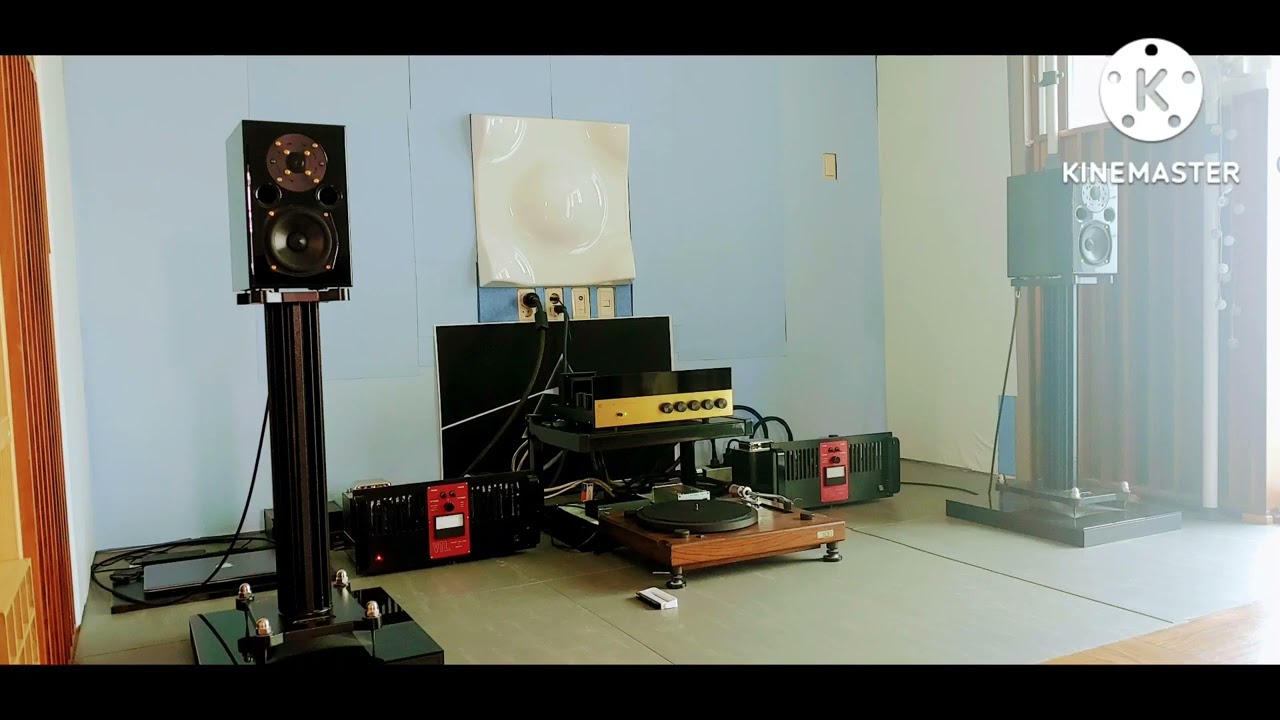 Acoustic Energy AE1 Signature + VAC + VTL