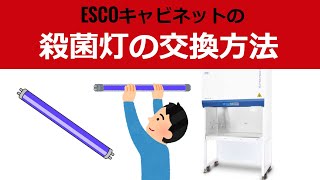 ESCOキャビネット 殺菌灯の交換