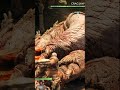 Epic Fight. Epic Sound. | GoW #godofwarragnarok #gaming #videogame #pcgaming #consolegaming